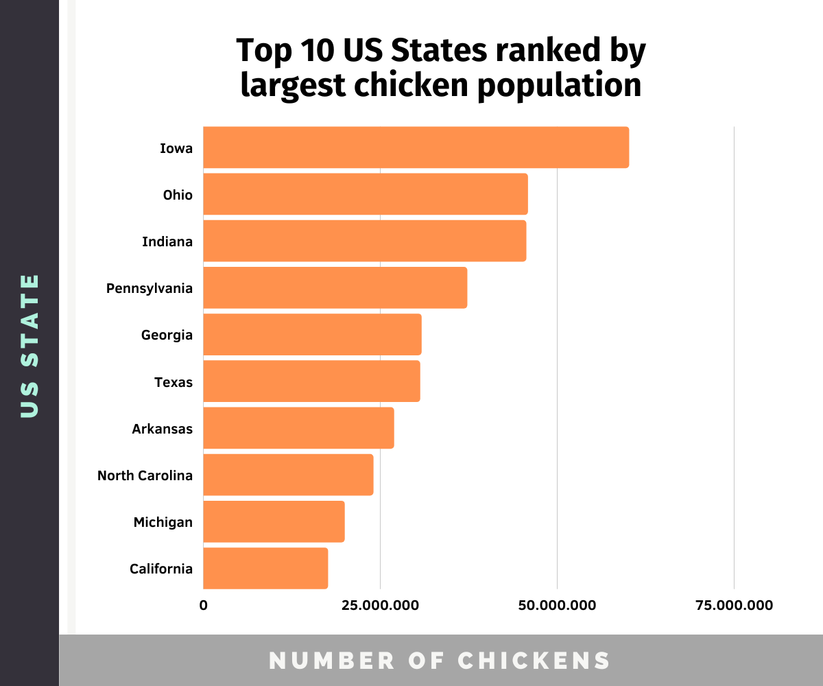 how-many-chickens-are-in-the-world-in-2023-chicken-statistics