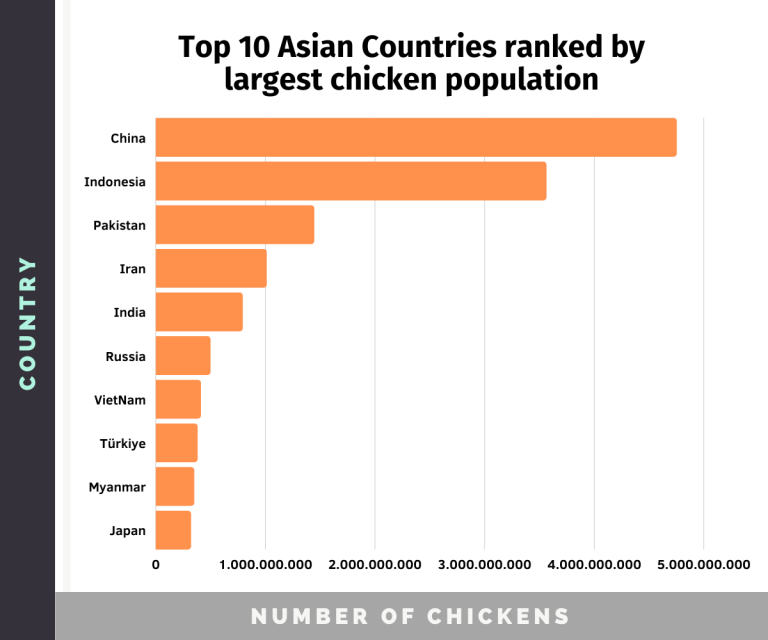 How Many Chickens Are in the World in 2023? (Chicken Statistics