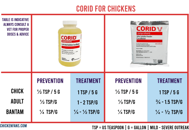 Corid For Chickens: Dosage & Treatment Of Coccidiosis | Chicken Fans