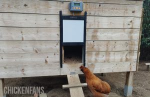 5 Best Automatic Chicken Coop Doors - Real-Life Testing (2023 ...