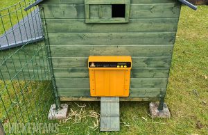 Best Automatic Chicken Coop Doors - Real-Life Testing (2024) | Chicken Fans