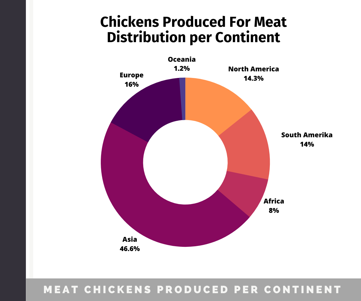 Poultry Industry Statistics (2023) Meat & Egg Production Chicken Fans