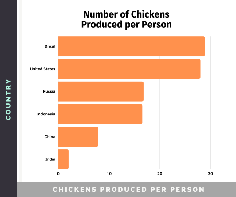 Poultry Industry Statistics Meat Egg Production Chicken Fans