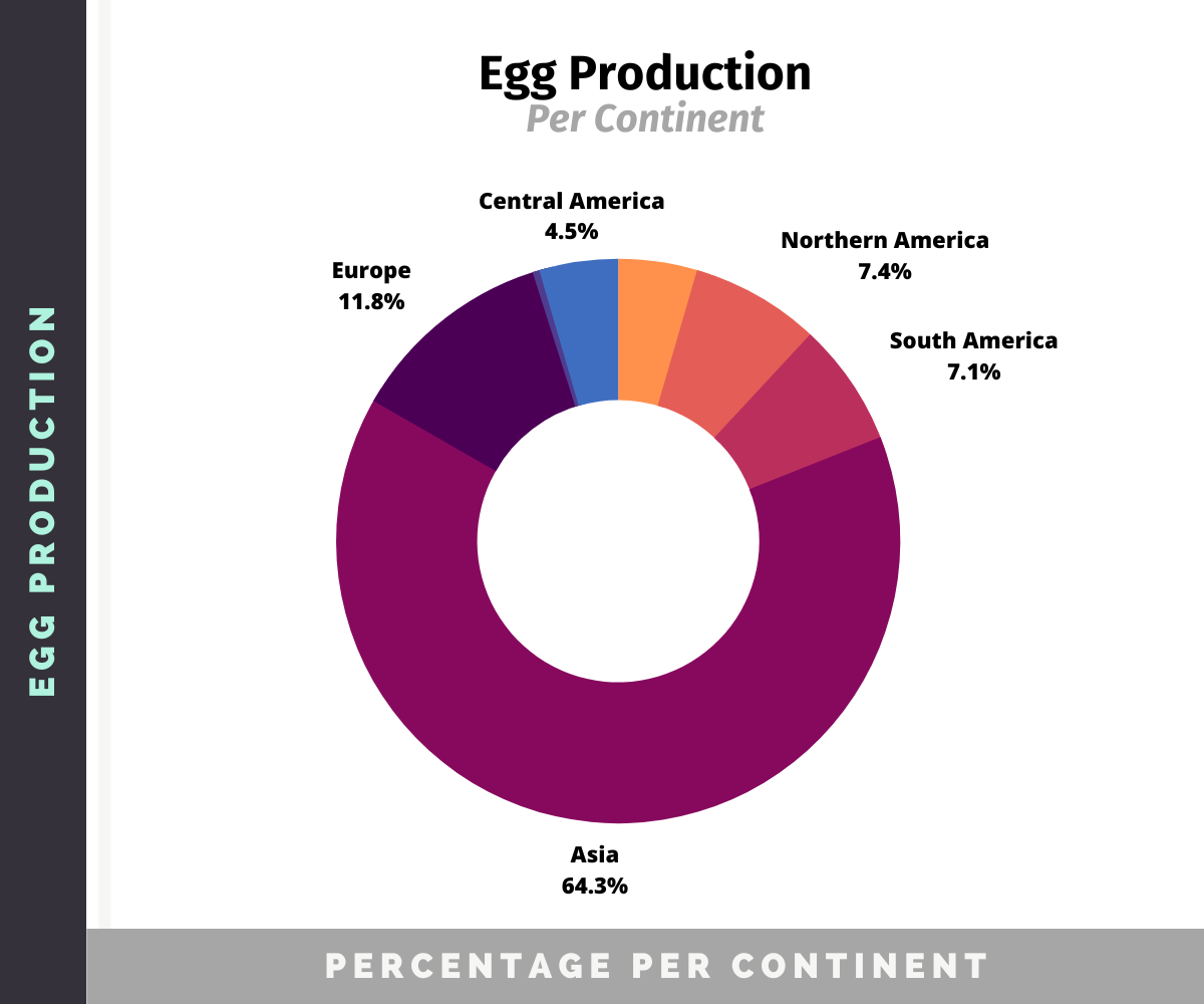 Poultry Industry Statistics (2023) Meat & Egg Production Chicken Fans