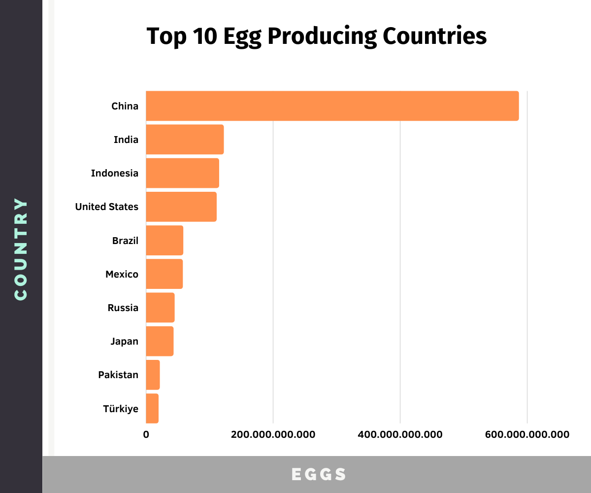 Poultry Industry Statistics (2023) Meat & Egg Production Chicken Fans