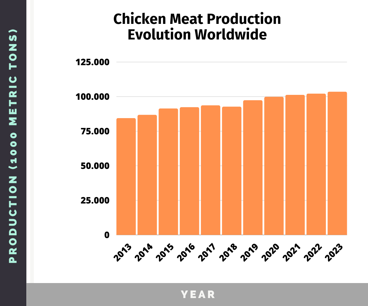 Poultry Industry Statistics 2023 Meat And Egg Production Chicken Fans