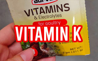Vitamin K for Chickens