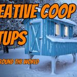 creative coop designs