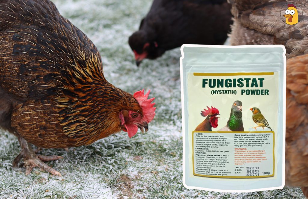 nystatin powder for chickens